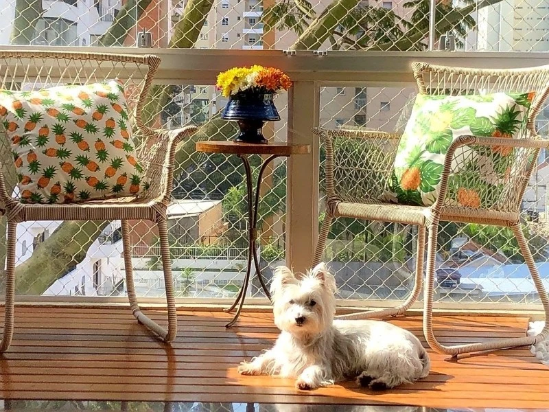 cadeiras de jardim